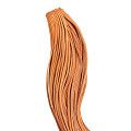 Dumco-Veter-vet-leer-120cm-25-paar-naturel-0